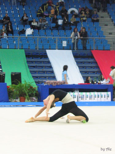 National Championship for individuals and groups, Pesaro 2006 28