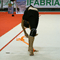 Serie A 2007 - Fabriano 28