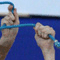 Campionati Mondiali - Rhythmic Gymnastics World Championship Patras 2007 426