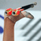 Campionati Mondiali - Rhythmic Gymnastics World Championship Patras 2007 455