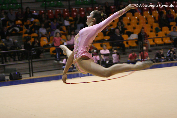 Serie A 2008 - DESIO  252