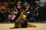 Serie A 2008 - DESIO  403