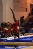 AG - Grand Prix Jesolo 2008 - SENIOR 180